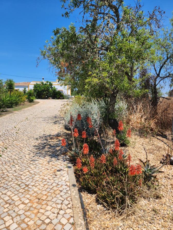 Quinta Das Amendoas Carvoeiro (Lagoa) Exterior foto